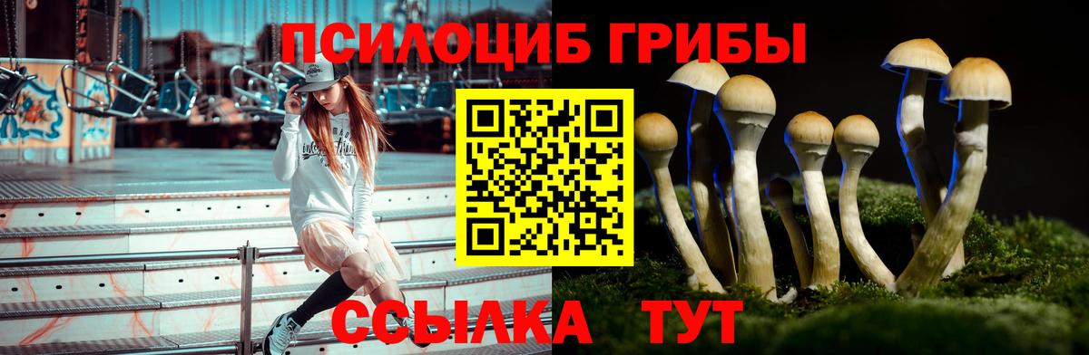Нарткала  Галлюциногенные грибы Psilocybine cubensis  что такое наркотик  Вход с VPN 